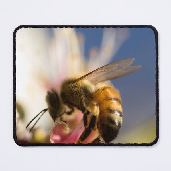 Item preview, Worker Bee designed and sold by EmField.