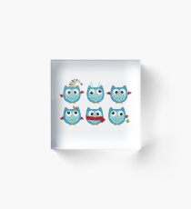 New christmas Owls in shop : New arrival Acrylic Block