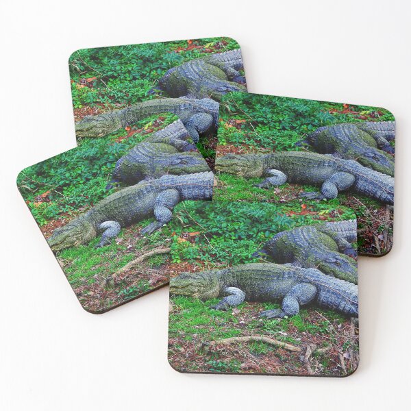 Item preview, crocodile photo with high resolution quality designed and sold by Allyouneed-2.