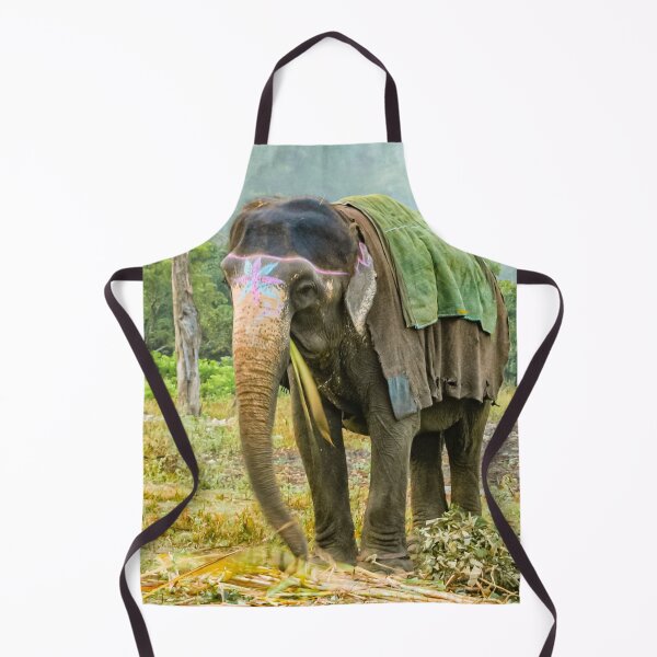 Item preview, Indian Elephant having breakfast designed and sold by Dalyndigital Photography.