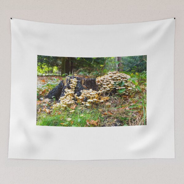 Item preview, The mushroom invasion designed and sold by jchanders.
