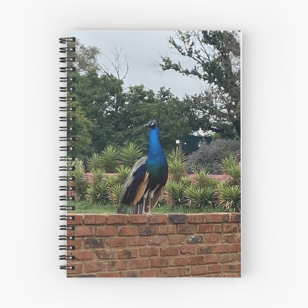 Item preview, Pavo real en la pared designed and sold by Retrodata.