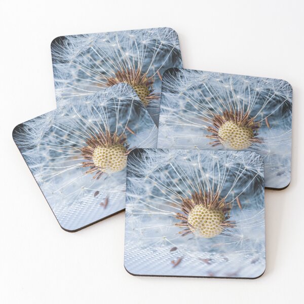 Item preview, Dandelion flower designed and sold by OrionPhotograph.