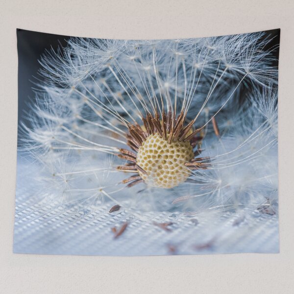 Item preview, Dandelion flower designed and sold by OrionPhotograph.