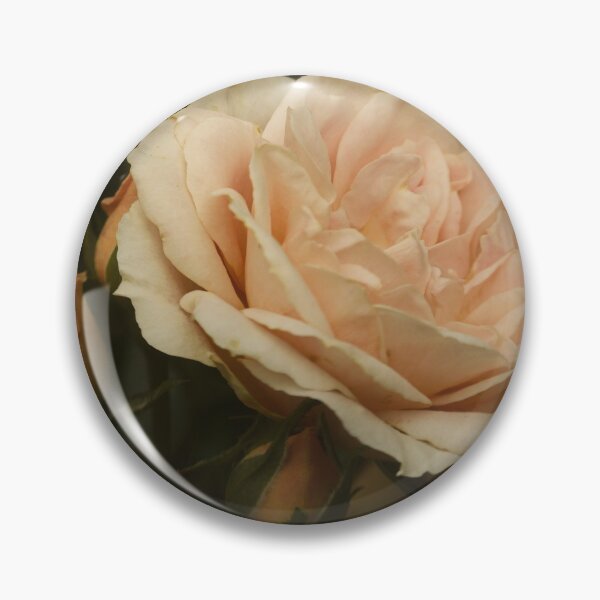 Item preview, Only a Rose designed and sold by Martyn R Arnold Fine Art Nature & Landscape Photography.