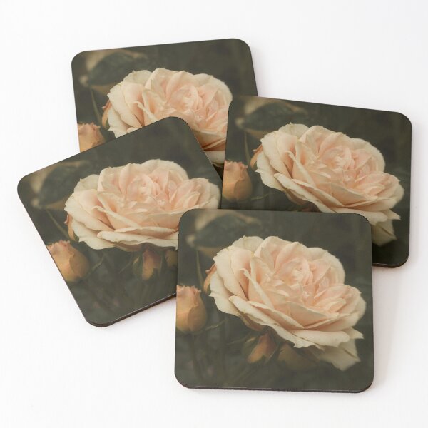 Item preview, Only a Rose designed and sold by Martyn R Arnold Fine Art Nature & Landscape Photography.