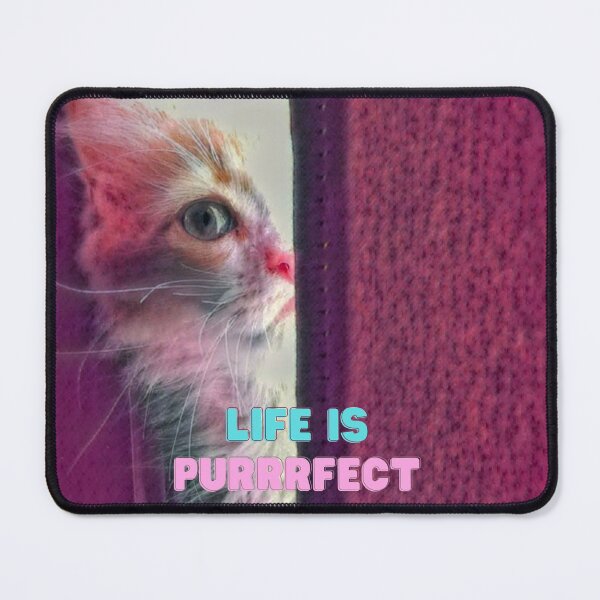 Item preview, Pensive Kitten Life is Purrrfect designed and sold by DonneeCreations.