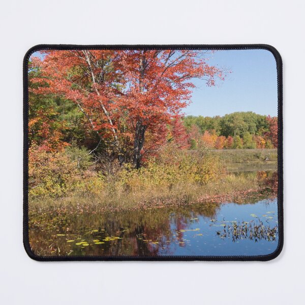 Item preview, Crisp Autumn Sunshine - Red Maple and Blue Pond designed and sold by Georgia Mizuleva.