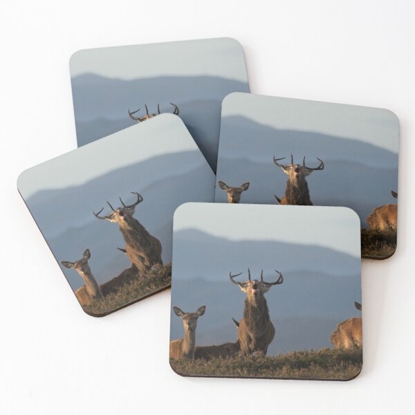 Item preview, Roaring Stag designed and sold by Macrae images.