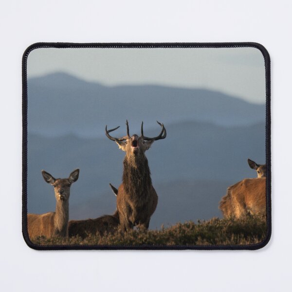 Item preview, Roaring Stag designed and sold by Macrae images.