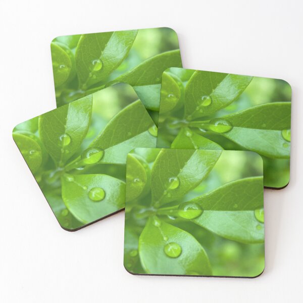 Item preview, Raindrops on Green Leaves designed and sold by Sinemathk.