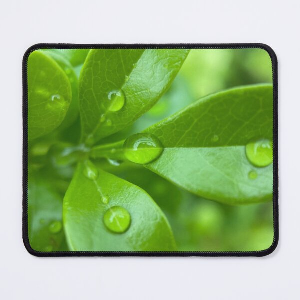 Item preview, Raindrops on Green Leaves designed and sold by Sinemathk.