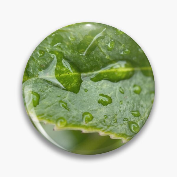 Item preview, Raindrops on a Green Serrated Leaf designed and sold by Sinemathk.