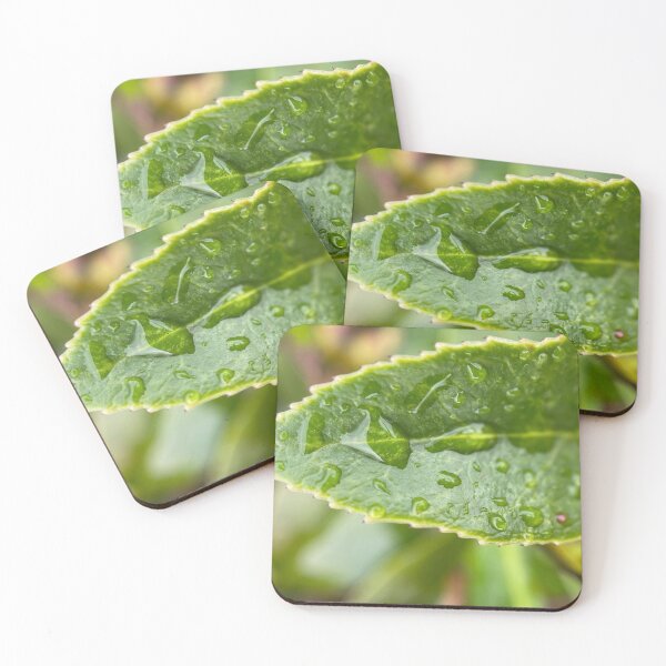 Item preview, Raindrops on a Green Serrated Leaf designed and sold by Sinemathk.