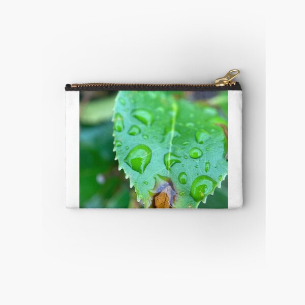 Item preview, Raindrops on a Green Serrated Leaf designed and sold by Sinemathk.