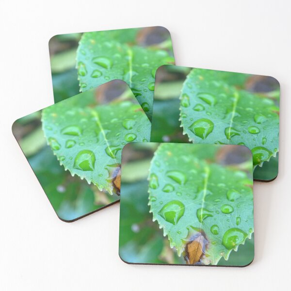 Item preview, Raindrops on a Green Serrated Leaf designed and sold by Sinemathk.