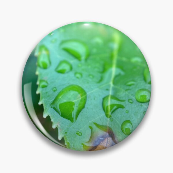 Item preview, Raindrops on a Green Serrated Leaf designed and sold by Sinemathk.