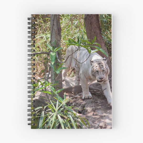 Item preview, White Tiger on the Prowl designed and sold by JlocksJedi.