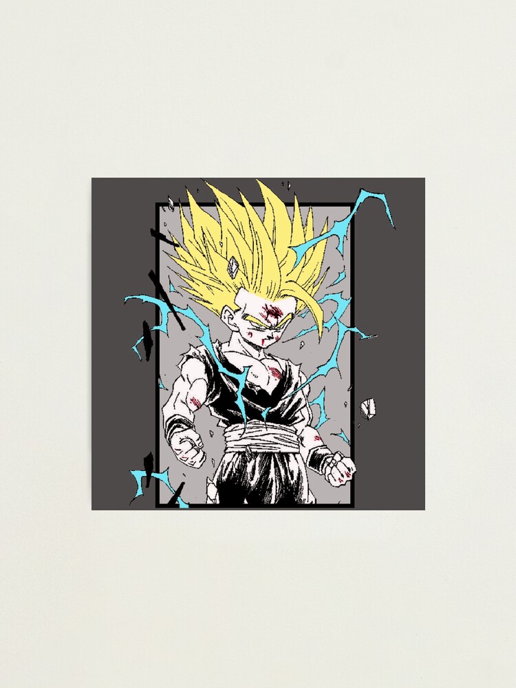 Quadro Dragon Ball Z Goku Mangá Anime Gohan Vegeta Majin Son