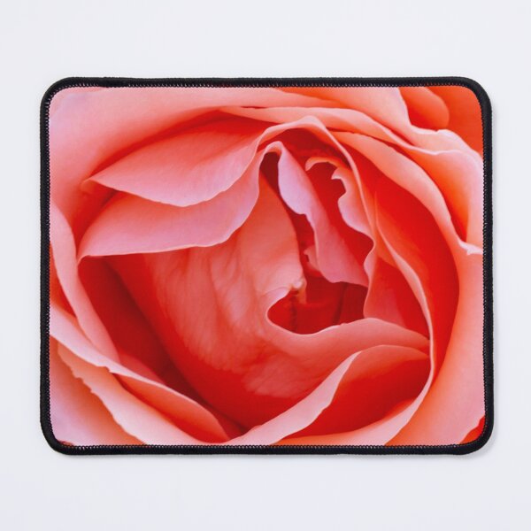Item preview, Blush pink rose. Single flower. Close up. designed and sold by JellyBeenzz.