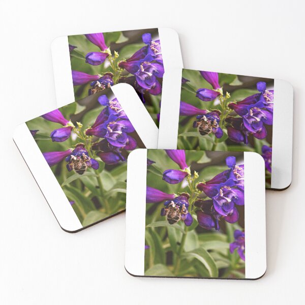Item preview, Angelonia designed and sold by Lauviahsdesign.