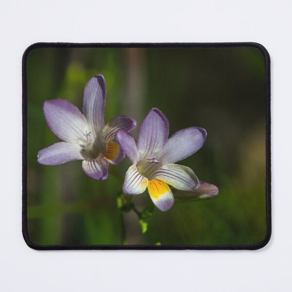 Item preview, Dark Purple Flowers Freesia Flower Garden designed and sold by Jason Gilbert.