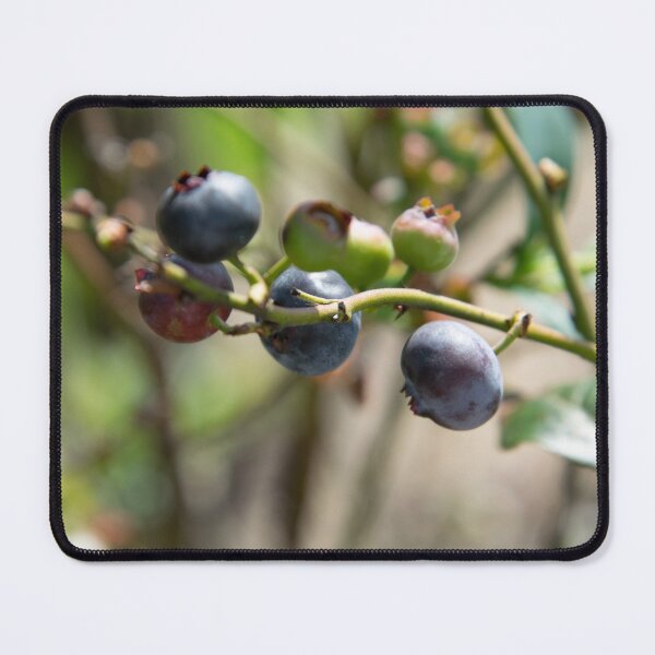 Item preview, blueberries designed and sold by Smallfish1274.