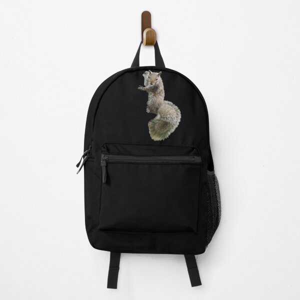 Item preview, Climbing Grey Squirrel. Funny Giant Squirrel. Photograph designed and sold by JellyBeenzz.