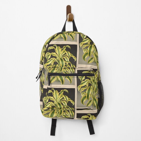 Item preview, Dracaena reflexa ‘Variegata’ - botanical illustration designed and sold by chimakingthings.