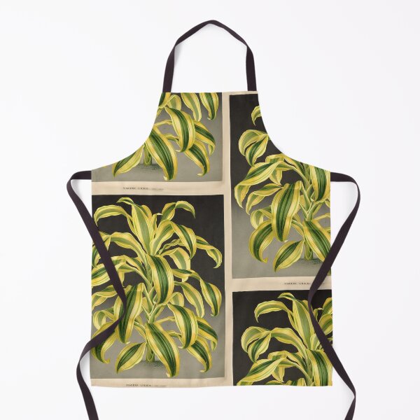 Item preview, Dracaena reflexa ‘Variegata’ - botanical illustration designed and sold by chimakingthings.
