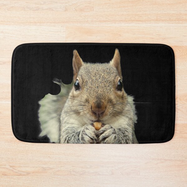 Item preview, Grey Squirrel sitting, eating a nut, watching. Funny giant squirrel. Photograph designed and sold by JellyBeenzz.