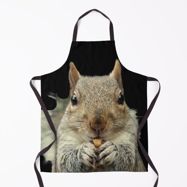 Item preview, Grey Squirrel sitting, eating a nut, watching. Funny giant squirrel. Photograph designed and sold by JellyBeenzz.