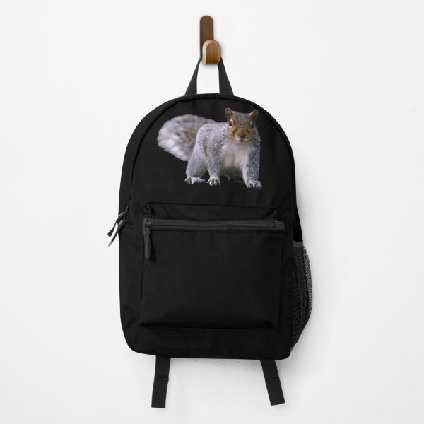 Item preview, Grey Squirrel, on the ground, standing, watching. Funny giant squirrel. Photograph designed and sold by JellyBeenzz.