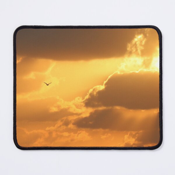 Item preview, Seagull at sunset designed and sold by LaGalleria-BNS by Moses Benson Gallery.