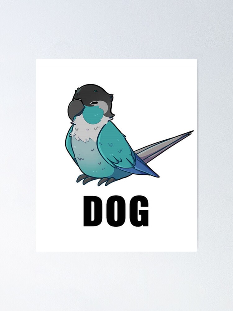 Jaiden animations and her bird, cute moment and pink hearts, parrot  watching you funny T-Sh Poster for Sale by YesTeeDesign