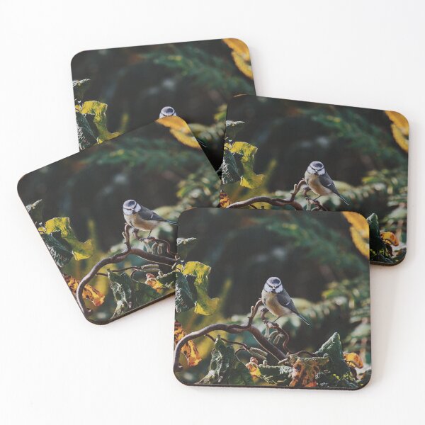 Item preview, Birds Curiosity designed and sold by lemonladd.
