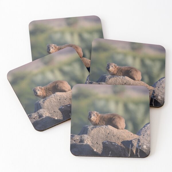 Item preview, Rock Rabbit in Northern Israel designed and sold by DanaLauraPhoto.