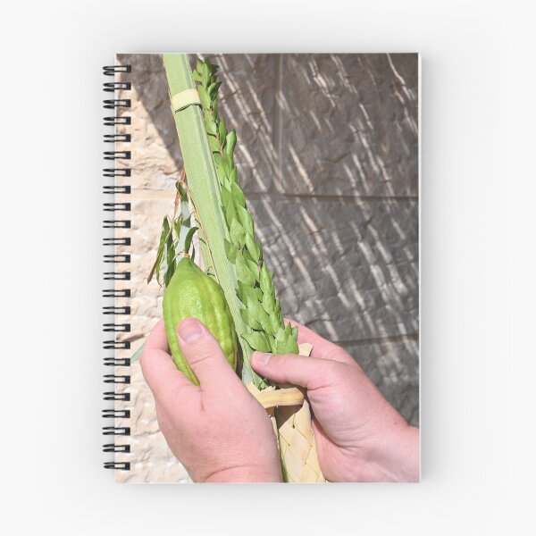 Item preview, Lulav and Etrog designed and sold by DanaLauraPhoto.