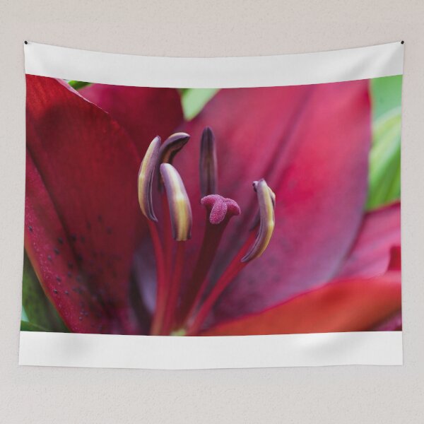 Item preview, Lilium Stamen designed and sold by LilLizphoto.