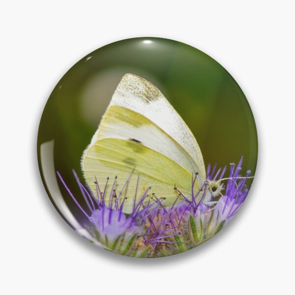 Item preview, Whiteling on the flower designed and sold by Claudia-Evans.