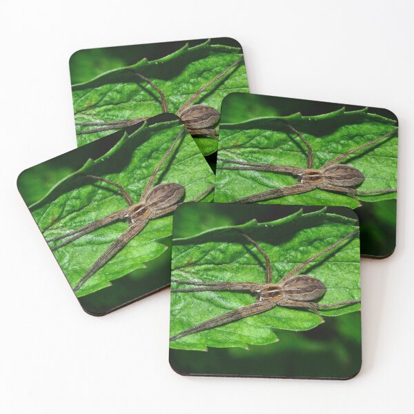Item preview, spider designed and sold by Claudia-Evans.