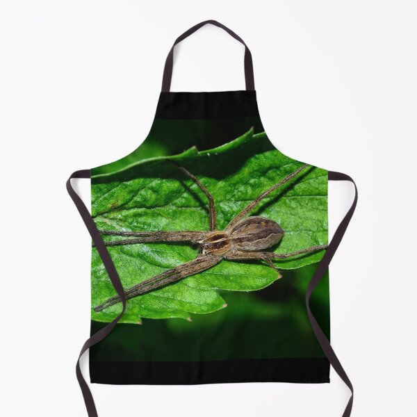 Item preview, spider designed and sold by Claudia-Evans.