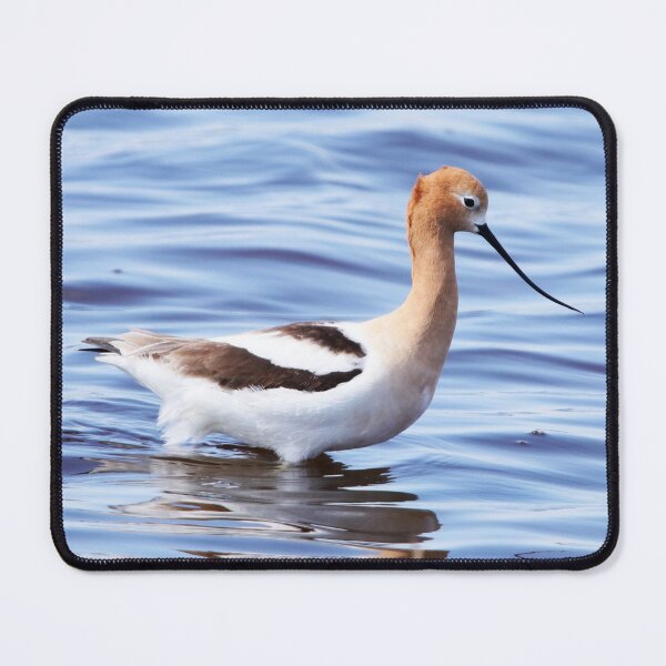 Item preview, American Avocet designed and sold by Alyce Taylor.