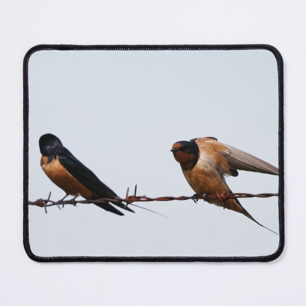 Item preview, Barn Swallows designed and sold by Alyce Taylor.