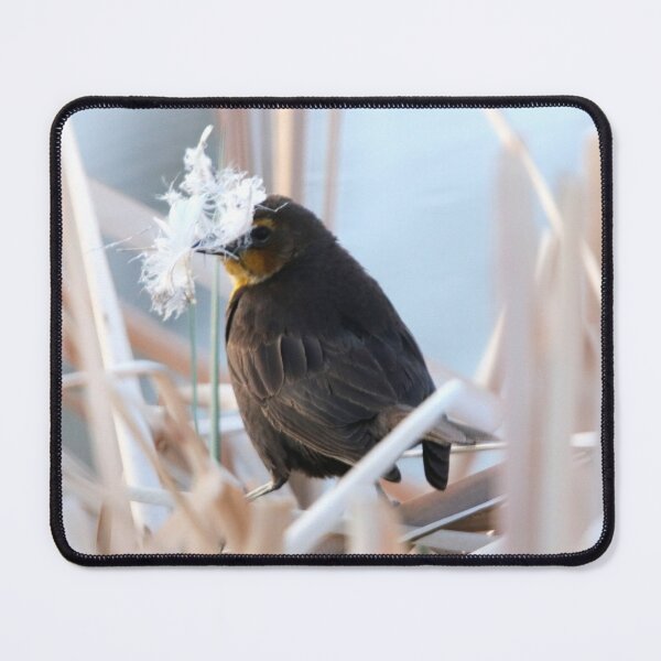 Item preview, Female Yellow Headed Blackbird designed and sold by Alyce Taylor.