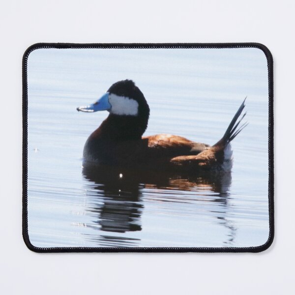 Item preview, Ruddy Duck designed and sold by Alyce Taylor.