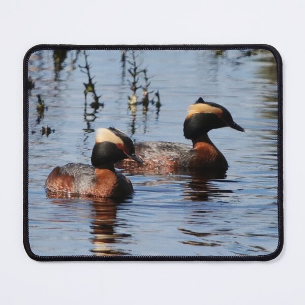 Item preview, Horned Grebe Couple designed and sold by Alyce Taylor.