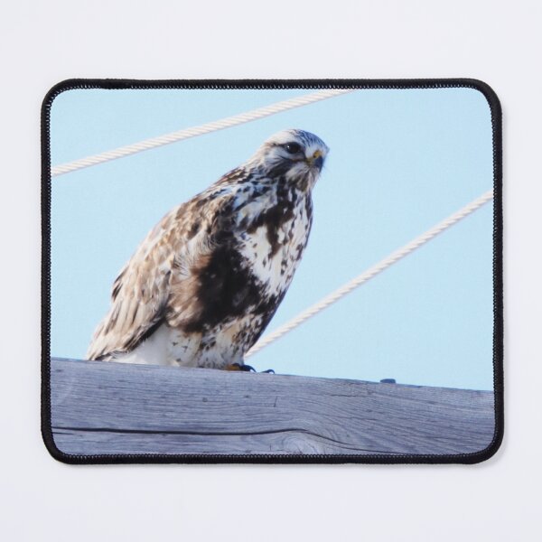 Item preview, Its All in the Power designed and sold by Alyce Taylor.