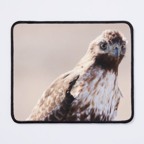 Item preview, Immature Red Tailed Hawk designed and sold by Alyce Taylor.
