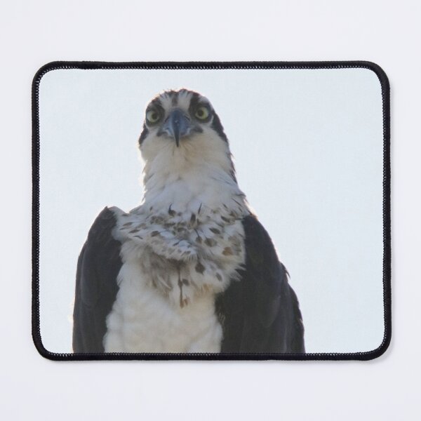 Item preview, That Look In His Eyes designed and sold by Alyce Taylor.